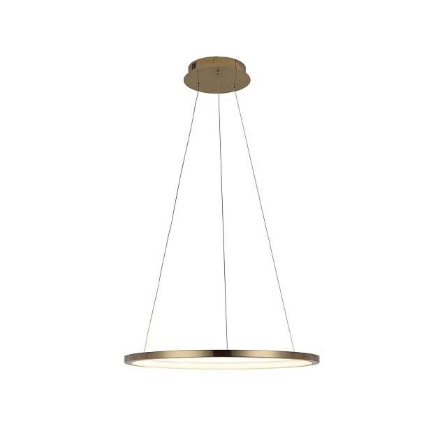 Подвесной светодиодный светильник Loft IT Ring 10014M Фото № 3