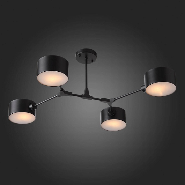 Потолочная люстра Evoluce Gimento SLE183402-04 Фото № 4