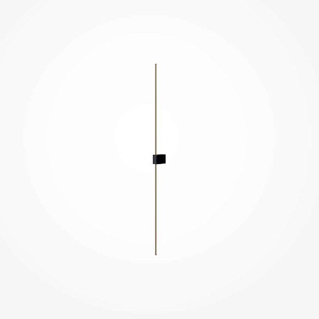 Настенный светильник Maytoni Technical Pars C071WL-L12GB3K Фото № 3