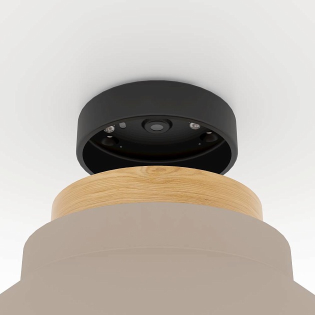 Потолочный светильник Eglo Moharras 900736 изображение 4 Потолочный светильник Eglo Moharras 900736 Фото № 4