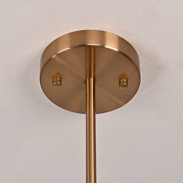 Подвесная люстра Imperium Loft Gooseneck Pelle 123402-22 Фото № 11