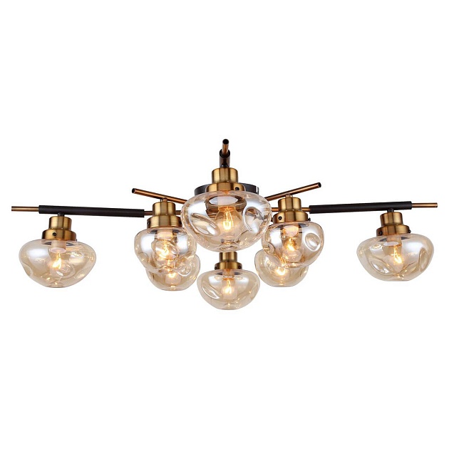 Потолочная люстра Lussole Lgo LSP-8142 Фото № 1