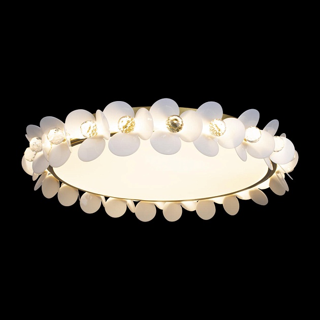 Потолочный светодиодный светильник Loft IT Bride 10176 изображение 3 Потолочный светодиодный светильник Loft IT Bride 10176 Фото № 3