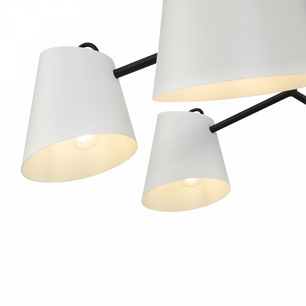 Подвесная люстра Freya Nordic FR5127PL-06B изображение 3 Подвесная люстра Freya Nordic FR5127PL-06B Фото № 3