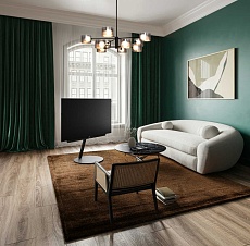 Потолочный светильник Freya FR5544CL-10B 5