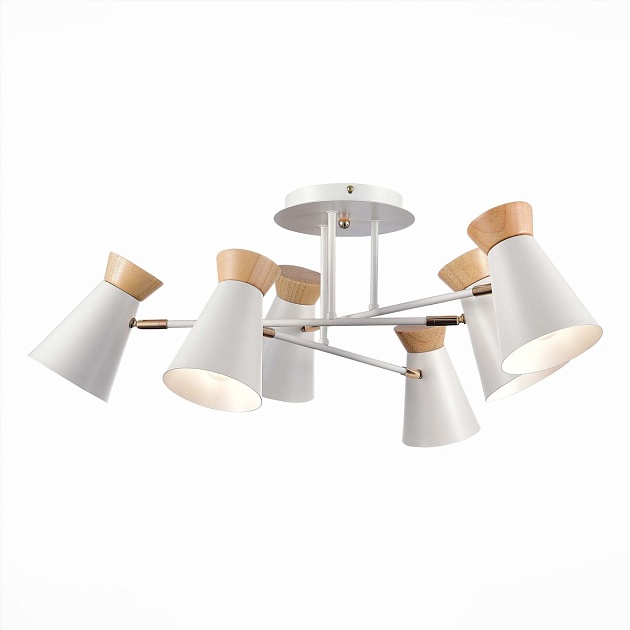 Потолочная люстра Evoluce Alfeo SLE1252-502-06 изображение 3 Потолочная люстра Evoluce Alfeo SLE1252-502-06 Фото № 3