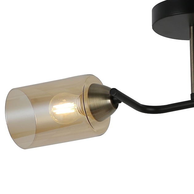 Потолочная люстра Illumico IL8148-2COU-79 BK BR Фото № 2