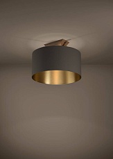 Потолочный светильник Eglo Santandria 390335 1