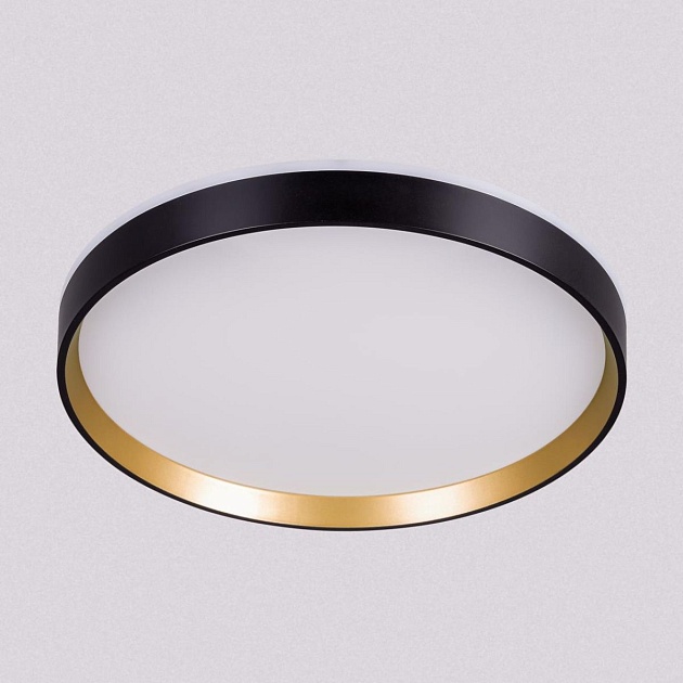 Светильник с пультом Citilux ETALON CL750321R Фото № 18