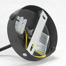 Подвесная люстра Lussole Loft Elmira GRLSP-8206 3