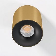 Потолочный светодиодный светильник Elektrostandard Primo 25116/LED a069413 2