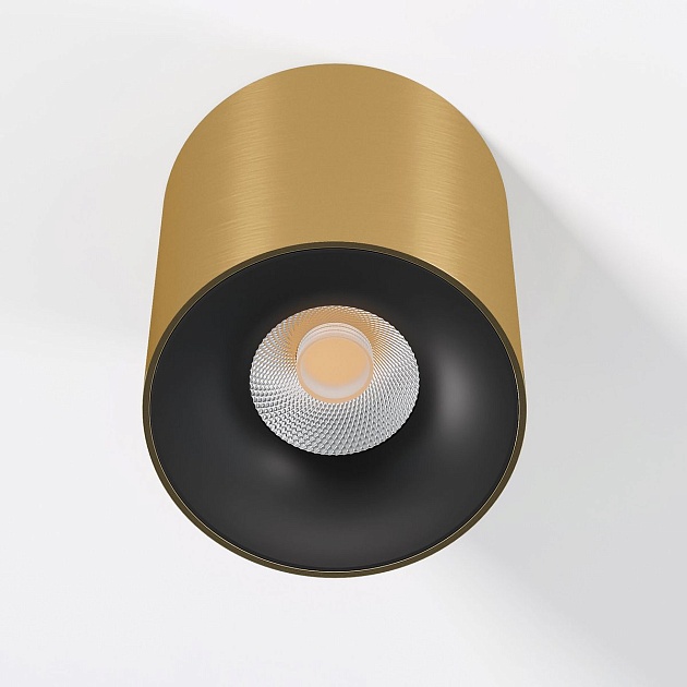 Потолочный светодиодный светильник Elektrostandard Primo 25116/LED a069413 изображение 3 Потолочный светодиодный светильник Elektrostandard Primo 25116/LED a069413 Фото № 3