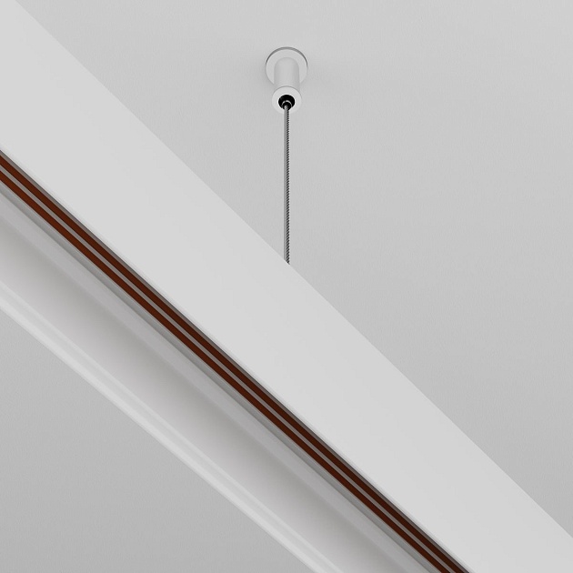 Подвес Maytoni Technical Exility (2 шт) TRA034SW-2W Фото № 6