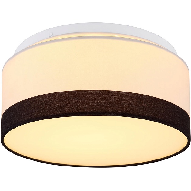 Потолочный светодиодный светильник Globo Maggy 15385D Фото № 1