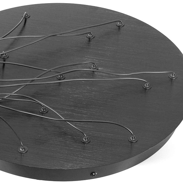 Люстра подвесная Lussole HOPKINS LSP-7401 Фото № 3