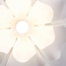 Подвесная люстра Lightera Chad LE116L-55W 4