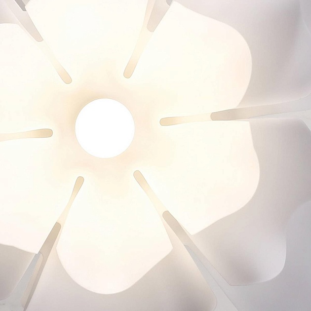 Подвесная люстра Lightera Chad LE116L-55W Фото № 5