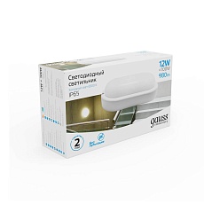 Уличный светодиодный светильник Gauss 161411312 2