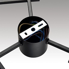 Потолочная люстра Lumion Comfi Dabra 8186/6C 2