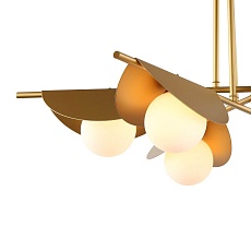 Потолочная люстра Favourite Kernel 2366-6P 2