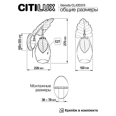 Бра Citilux CL420313 3