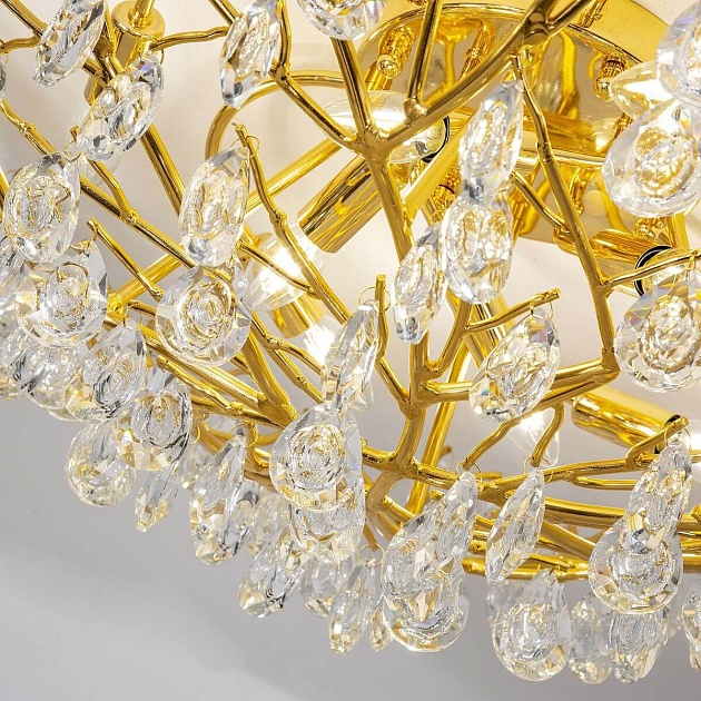 Потолочная люстра Favourite Pluvia 4162-10C Фото № 3