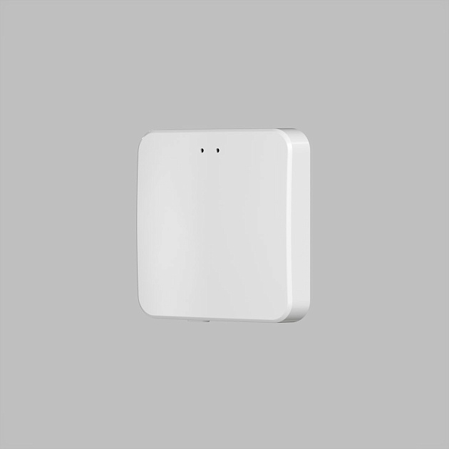 Конвертор Denkirs Control BT DK7401-WF изображение 4 Конвертор Denkirs Control BT DK7401-WF Фото № 4