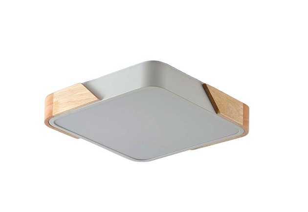 Потолочный светильник Zortes ALBERRO ZRS.01285.24 Фото № 5