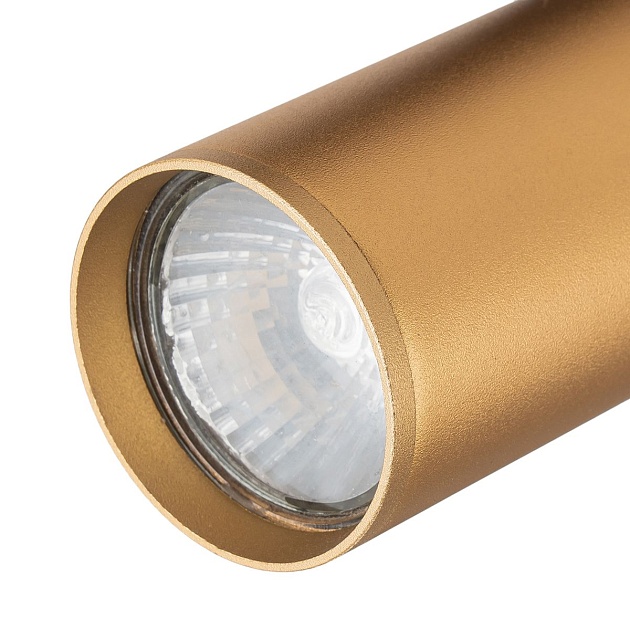 Трековый светильник Escada 20001TRA/01 BR Фото № 2