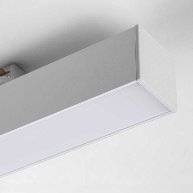 Линейный светильник Lightstar Lilla 202046 Фото № 4