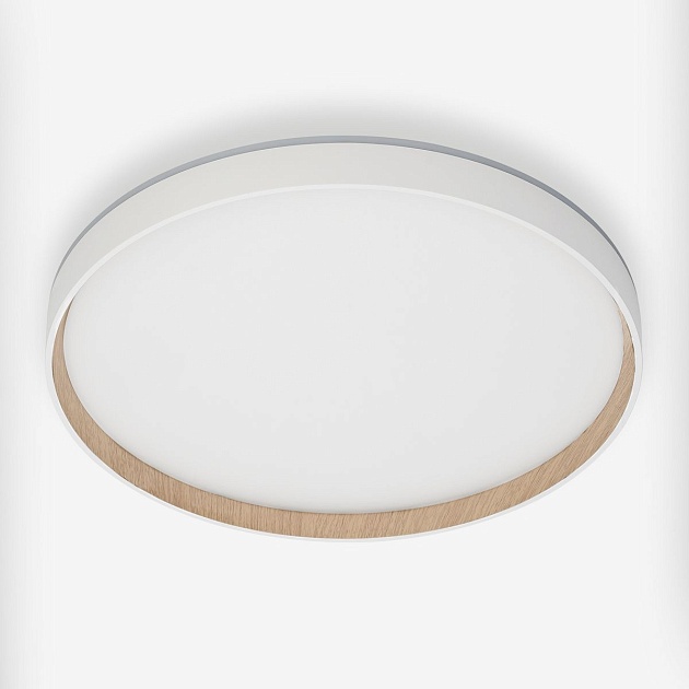 Потолочный светодиодный светильник Citilux Etalon CL750400R Фото № 12