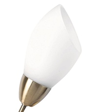 Бра MW-Light Нежность 356023001 2