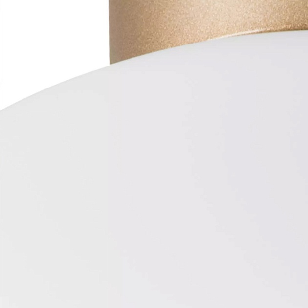 Настенно-потолочный светильник Lightstar Globo 812033 Фото № 3