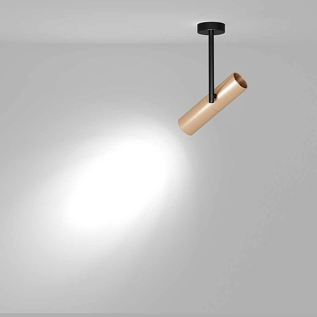 Спот Maytoni Elti C020CL-01GB Фото № 3