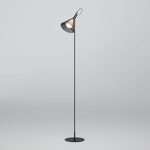 Торшер Eurosvet Enigma 01187/1 черный Фото № 1