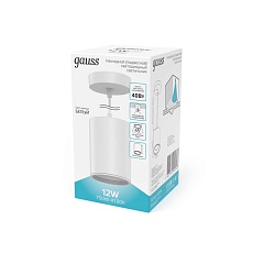 Подвесной светодиодный светильник Gauss HD044 2