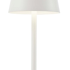 Настольная лампа F-Promo Pyari 4614-1T 4