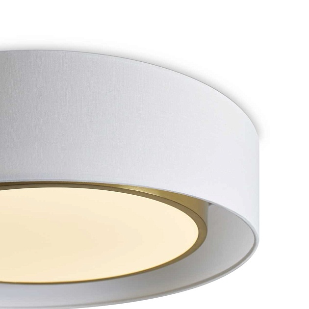 Потолочный светильник Freya FR6170CL-L52BS изображение 4 Потолочный светильник Freya FR6170CL-L52BS Фото № 4