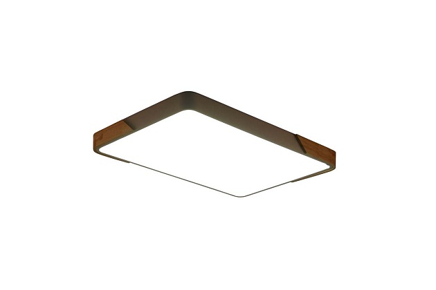 Потолочный светильник Zortes ALBERRO ZRS.01233.60 Фото № 5