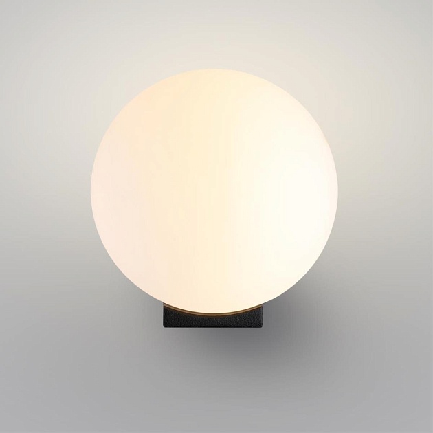 Настенный светильник Odeon Light NATURE 7124/1WA изображение 4 Настенный светильник Odeon Light NATURE 7124/1WA Фото № 4