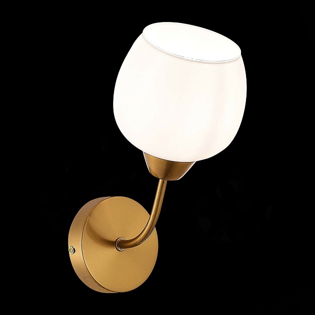 Бра Evoluce Tratti SLE1136-301-01 Фото № 3