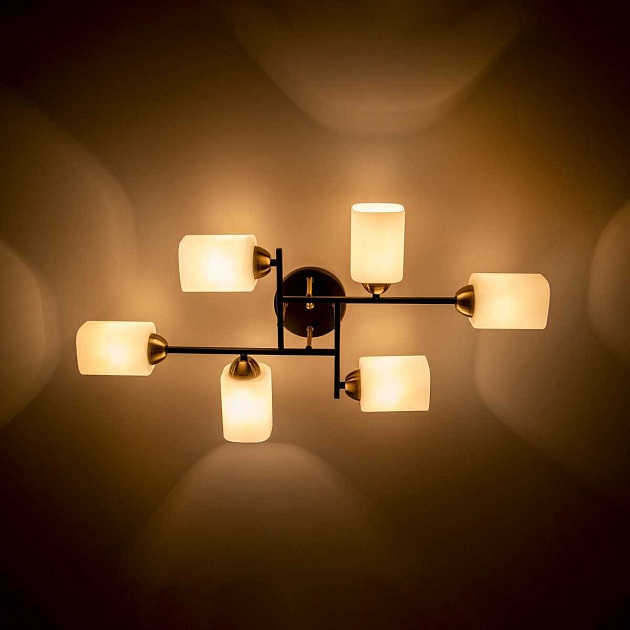 Потолочная люстра Citilux Генри CL130265 изображение 8 Потолочная люстра Citilux Генри CL130265 Фото № 8