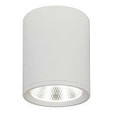 Потолочный светодиодный светильник Escada 20003SMU/02LED SWH