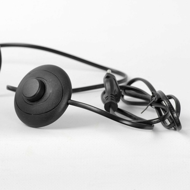 Торшер Lussole Prairie LSP-0654 Фото № 2