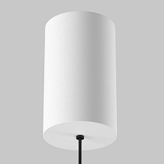 Подвесной светильник Maytoni Technical P102PL-12W4K-W 5