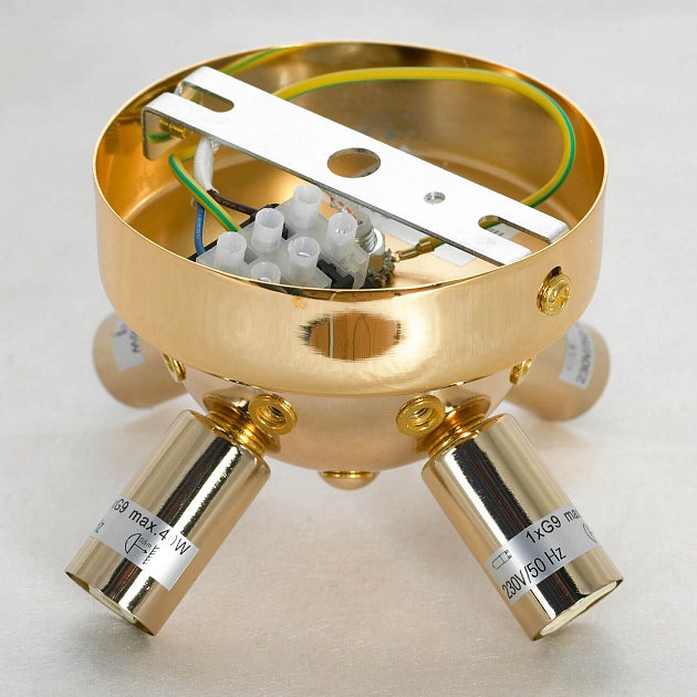 Потолочная люстра Lussole Loft Davie LSP-8781 Фото № 2