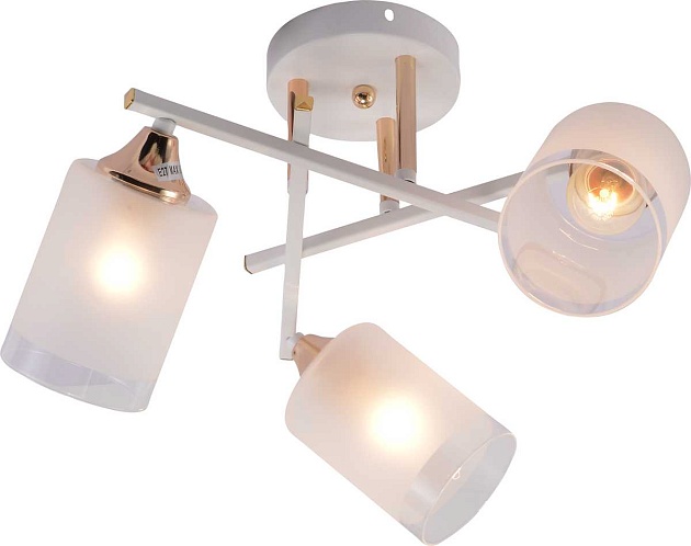 Потолочная люстра Rivoli Tammy 3162-303 Б0059258 Фото № 6