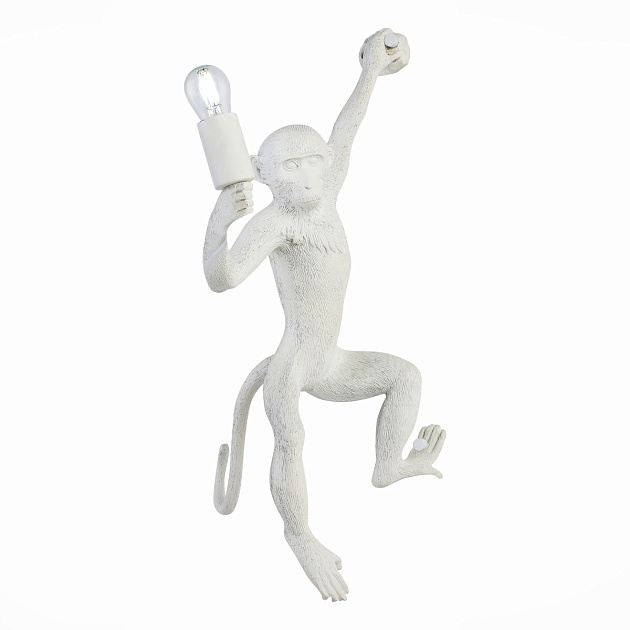 Бра Evoluce Tenato SLE115111-01 изображение 1 Бра Evoluce Tenato SLE115111-01 Фото № 1