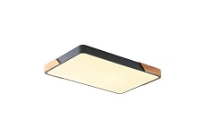 Потолочный светильник Zortes ALBERRO ZRS.01277.60 2