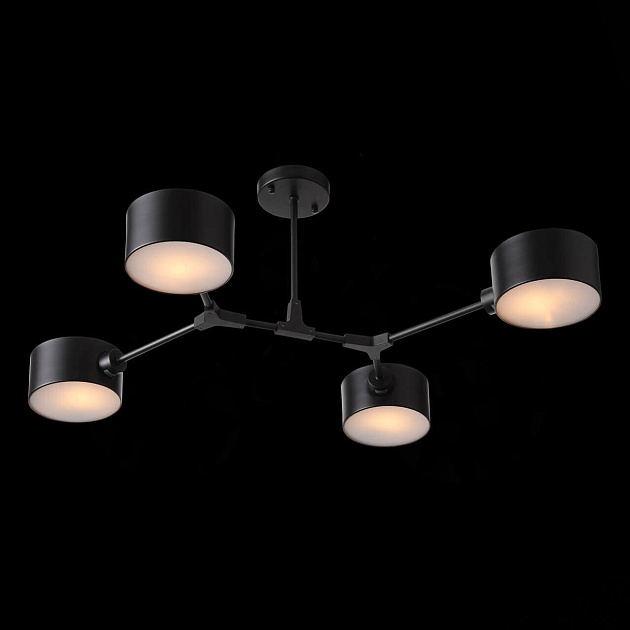 Потолочная люстра Evoluce Gimento SLE183402-04 Фото № 3